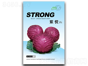 �ϐ�-���{�N��-��ľï��