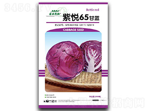 �ϐ�65���ψ���-���{�N��-��ľï��