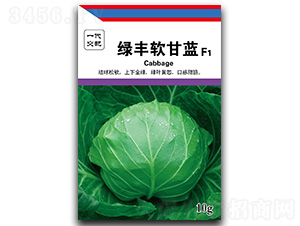 �G�Sܛ���{-���{�N��-��ľï��