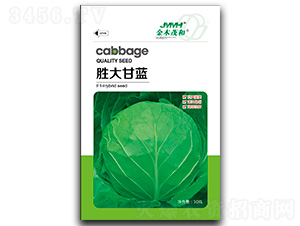 �ٴ���{-���{�N��-��ľï��