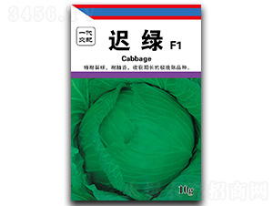 �t�G-���{�N��-��ľï��