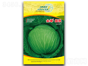 ��Gӯ��-���{�N��-��ľï��