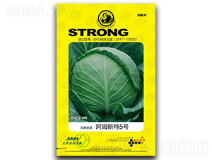 ��ķ˹��5̖-���{�N��-��ľï��