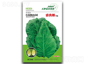 �ŵ���-���{�N��-��ľï��