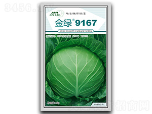 ��G9167-���{�N��-��ľï��