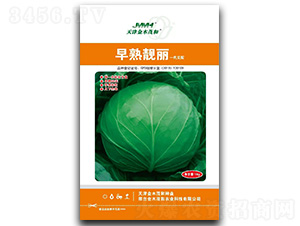 �����n��-���{�N��-��ľï��