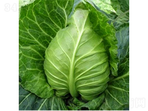 �������{�N��-�r(n��ng)�ƷN��