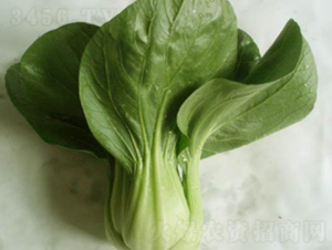 �G����˷N��-�r�ƷN��