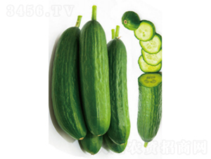 ����608-�S�ϷN��-�r�ƷN��