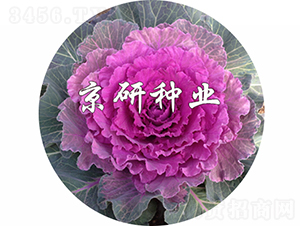 ��ɏ�t3̖-���{�N��-���зN�I(y��)