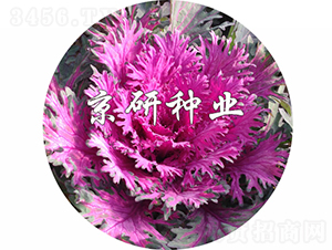 �����1̖-���{�N��-���зN�I(y��)