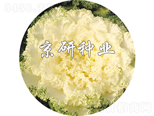 ���ڰ�1̖-���{�N��-���зN�I(y��)