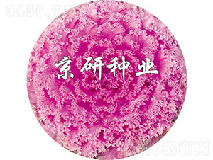 ���ڼt7̖-���{�N��-���зN�I(y��)