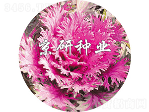 ����t2̖-���{�N��-���зN�I(y��)