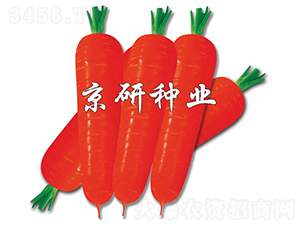 �tо100-���}���N��-���зN�I(y��)