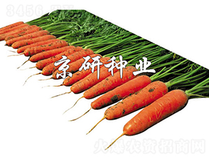 �A�u218-���}���N��-���зN�I(y��)