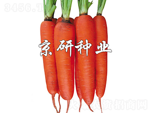 �A�u238-���}���N��-���зN�I(y��)