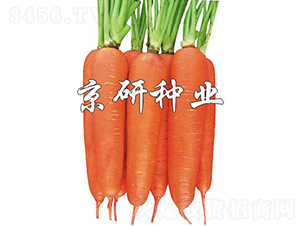 �A�u258-���}���N��-���зN�I(y��)