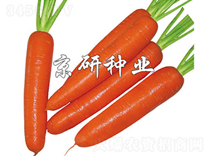 �A�u268-���}���N��-���зN�I(y��)