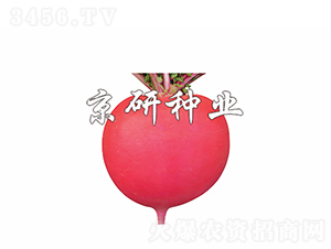 ���t4̖-�}���N��-���зN�I(y��)