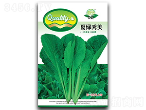 �ľG����-�ײ˷N��-��ʢ