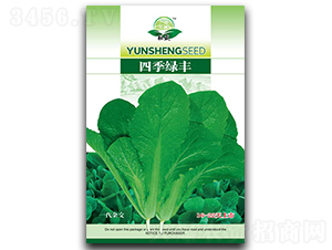 �ļ��G�S-�ײ˷N��-��ʢ