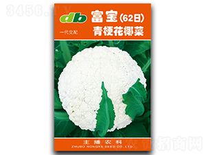 ����62��-��Ҭ�˷N��-�Ƞ�