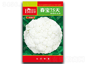 ����75��-��Ҭ�˷N��-�Ƞ�