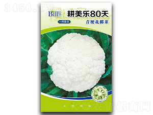 ������80��-��Ҭ�˷N��-�Ƞ�