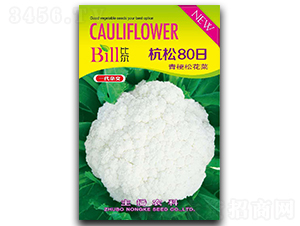 ����80��-��Ҭ�˷N��-�Ƞ�