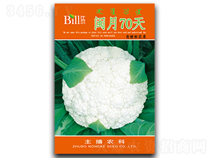 �}��70��-��Ҭ�˷N��-�Ƞ�