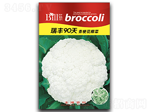 ���S90��-��Ҭ�˷N��-�Ƞ�