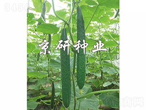 ���S68-�S�ϷN��-���зN�I