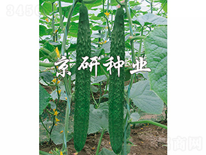 ���S298-�S�ϷN��-���зN�I