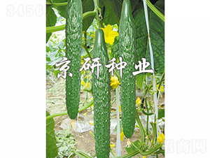 ����108-�S�ϷN��-���зN�I