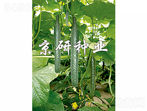 ����107-�S�ϷN��-���зN�I