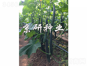 ���S235-�S�ϷN��-���зN�I