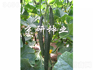 ���S320-�S�ϷN��-���зN�I