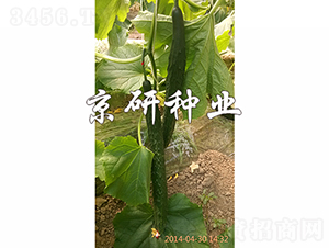 ���S16-�S�ϷN��-���зN�I