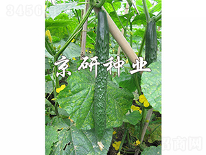 ���д���G3̖-�S�ϷN��-���зN�I