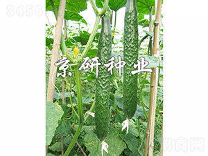 ���д���G2̖-�S�ϷN��-���зN�I