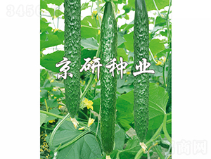 ���д���G-�S�ϷN��-���зN�I