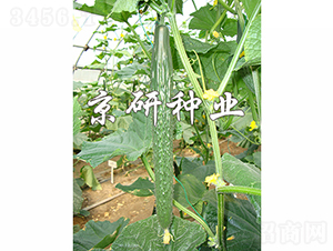 ����118-�S�ϷN��-���зN�I