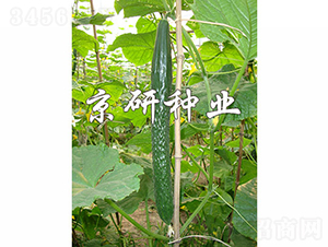 ����407-�S�ϷN��-���зN�I