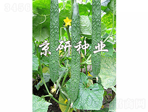 ��������2̖-�S�ϷN��-���зN�I