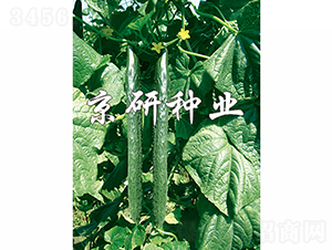 ����403-�S�ϷN��-���зN�I