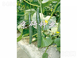 ������401-�S�ϷN��-���зN�I