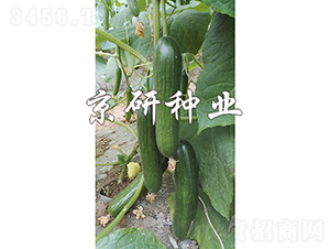 �G���`10̖-�S�ϷN��-���зN�I