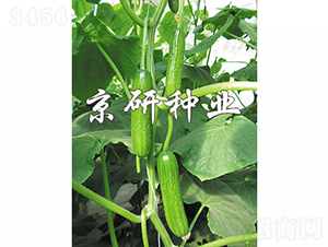 �G���`4̖-�S�ϷN��-���зN�I