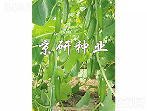 ��������7̖-�S�ϷN��-���зN�I